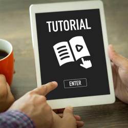 Manitoba International in Tehsilpura