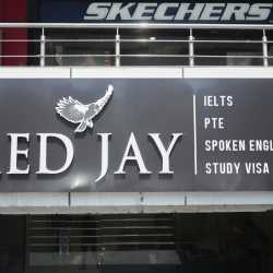 Red Jay Ielts and Immigration Consultants in Mall Road Amritsar Colony