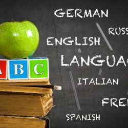 Wizzline Immigration Pvt Ltd in SCO 26 4th Floor Ranjit Avenue