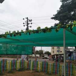 Christ Bethel School and Bethel Tutorials in Kakanakadasa Dattagalli