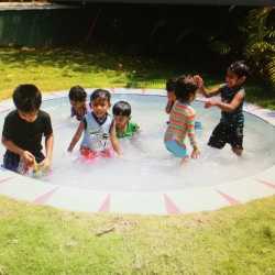 Lawrence Montessori and Nursery Teacher Training Academy in 4th Cross Saraswathipuram