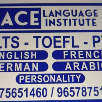 Ace Language Institute in Sandunke Vihar Kondhwa Khurd
